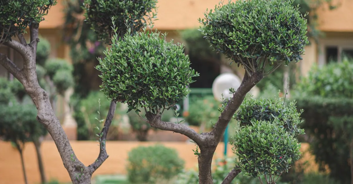 découvrez des conseils pratiques et techniques pour la taille des plantes afin de favoriser leur croissance, leur santé et leur beauté tout au long de l'année.